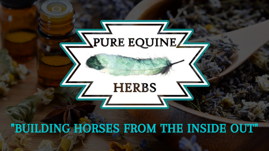 Hindgut Restore